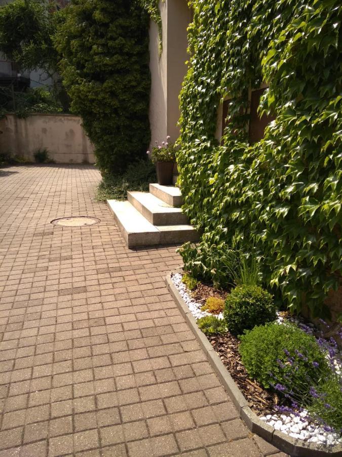 Penzion Bazalka Jablonec nad Nisou Dış mekan fotoğraf