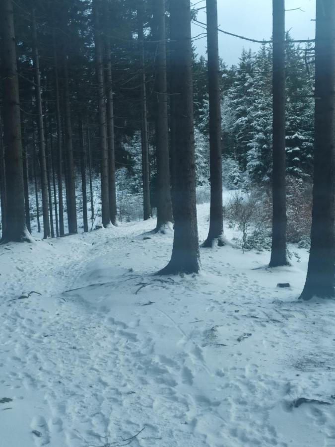 Penzion Bazalka Jablonec nad Nisou Dış mekan fotoğraf